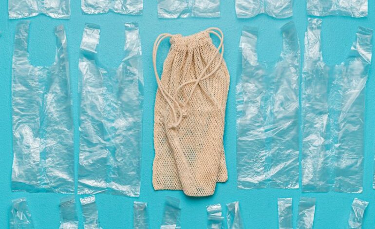 Substitute of Plastic