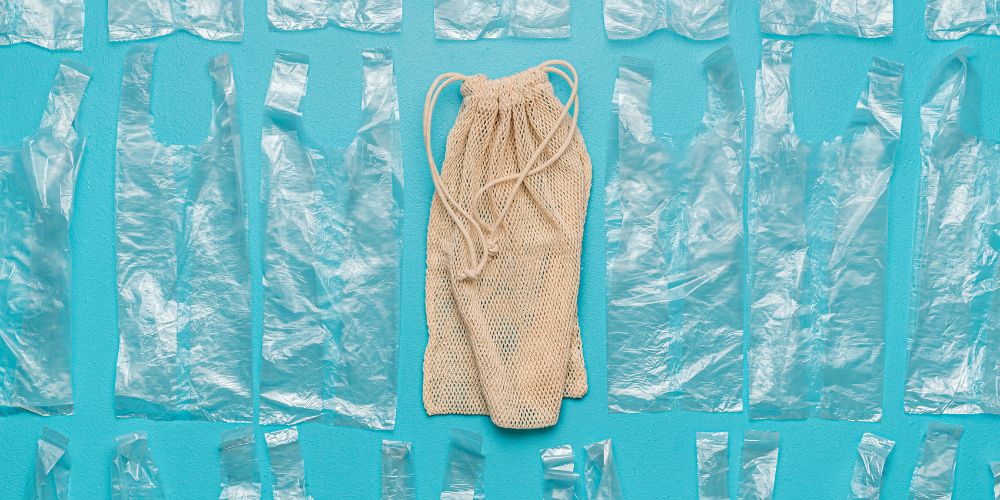 Substitute of Plastics in Our daily life
